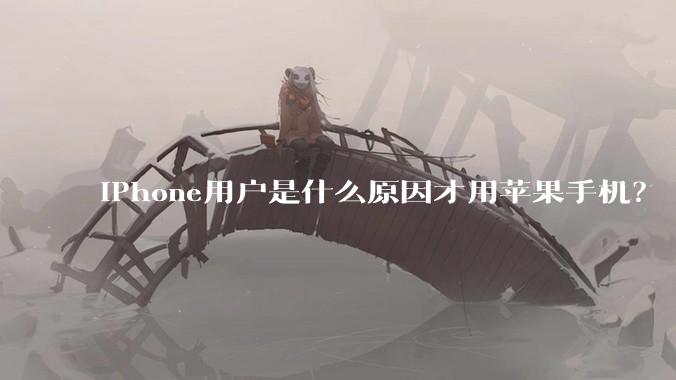 iPhone用户是什么原因才用苹果手机？
