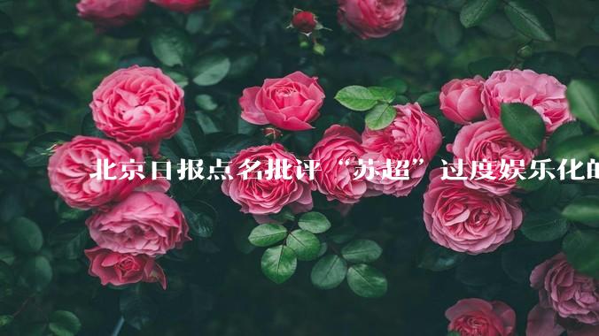 北京日报点名批评“苏超”过度娱乐化的动机是什么？