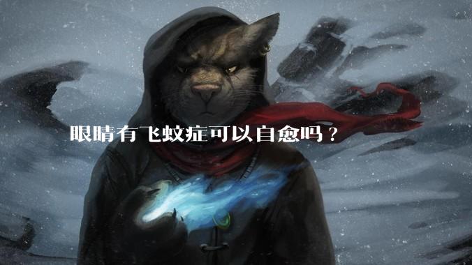 眼睛有飞蚊症可以自愈吗?
