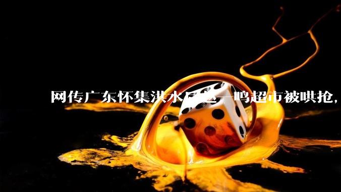 网传广东怀集洪水后赵一鸣超市被哄抢，县***回应相关单位正在核实，若属实哄抢者该承担哪些法律责任？