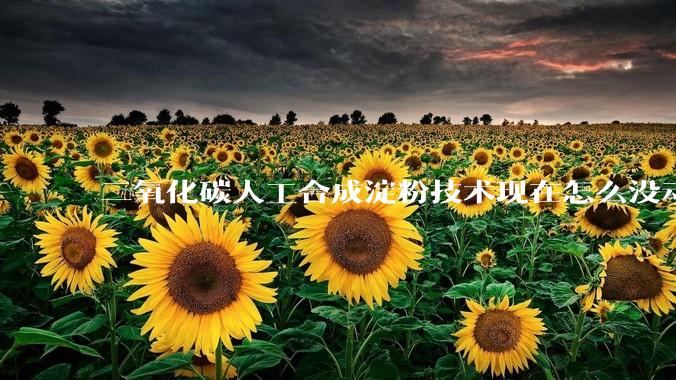 二氧化碳人工合成淀粉技术现在怎么没动静了？